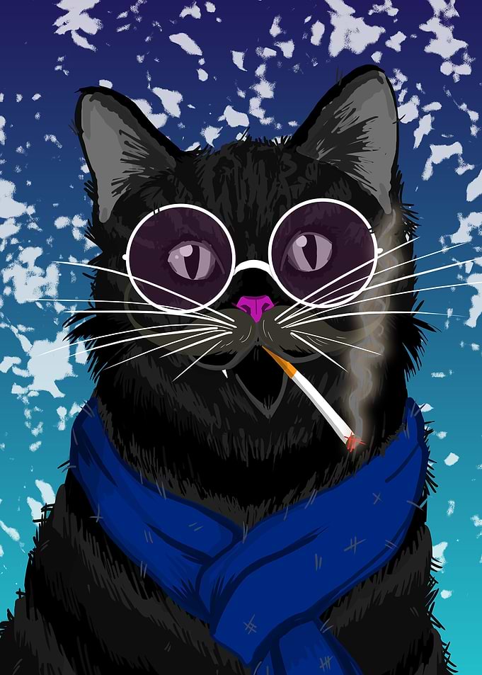 Black Cool Cat