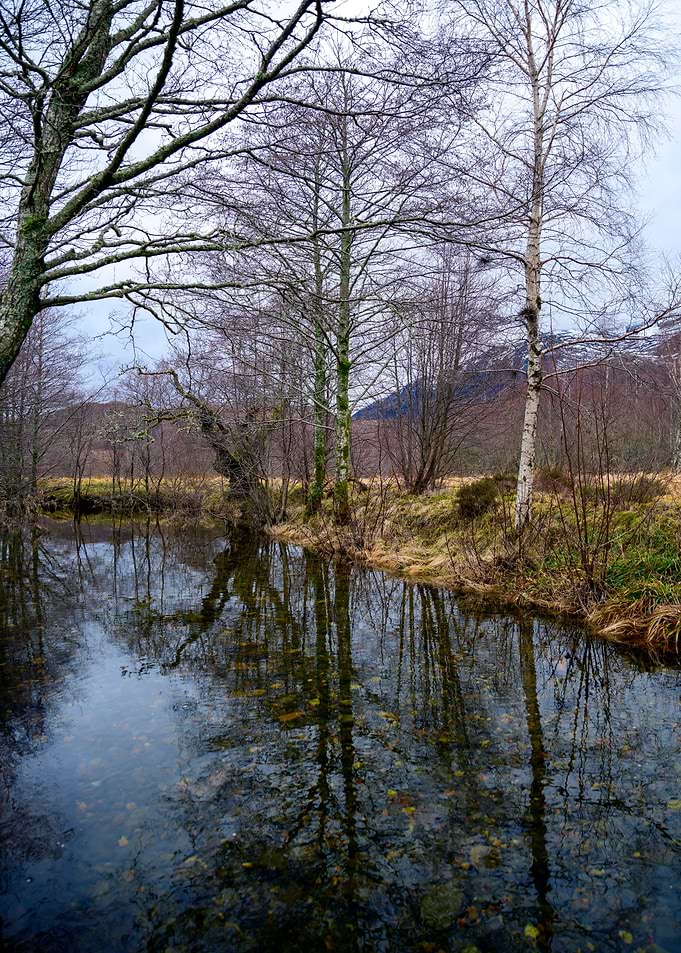 Carm River