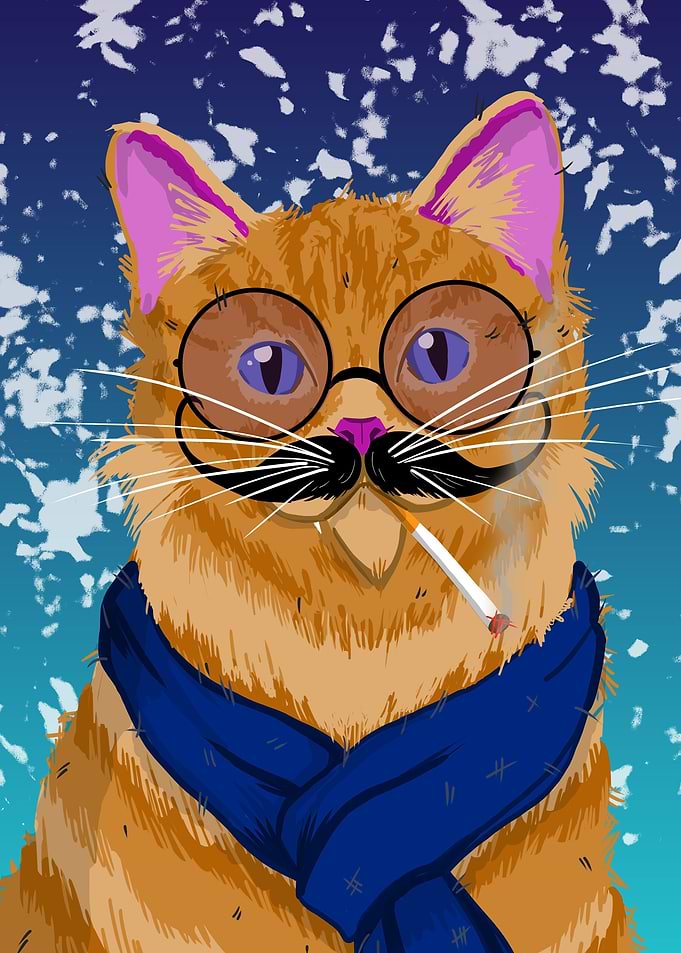 Orange Cool Cat