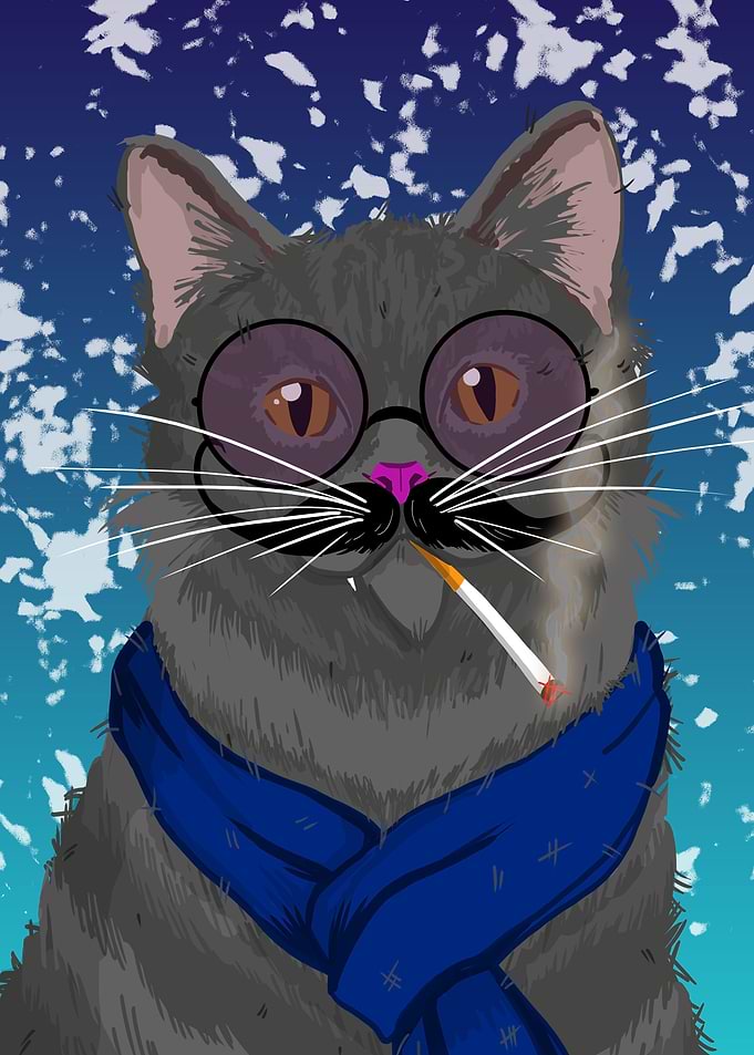 Gray Cool Cat