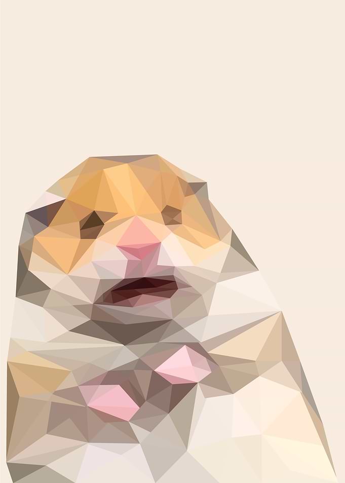 scared hamster meme