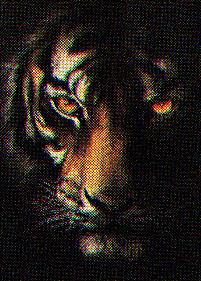 Tiger Face Portrait