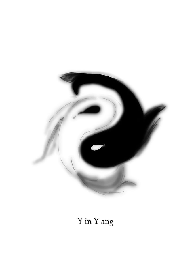 yin and yang japan