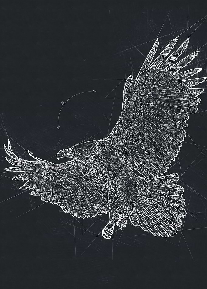 Eagle Drawing Art
