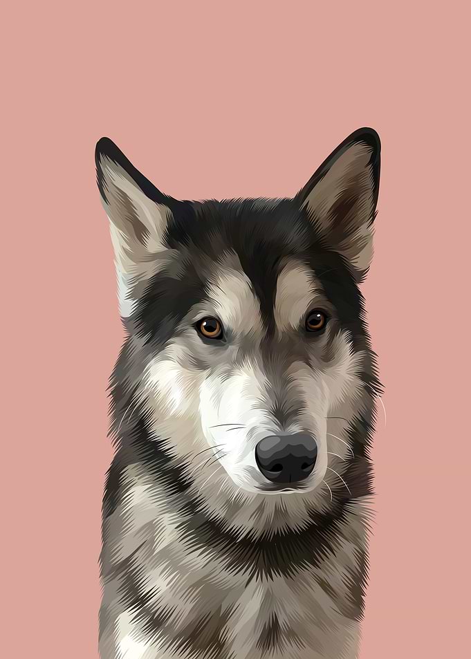Dog Cartoon Realistic