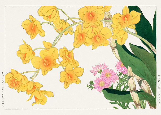 Yellow flowers