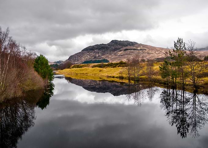 Nature Reflections