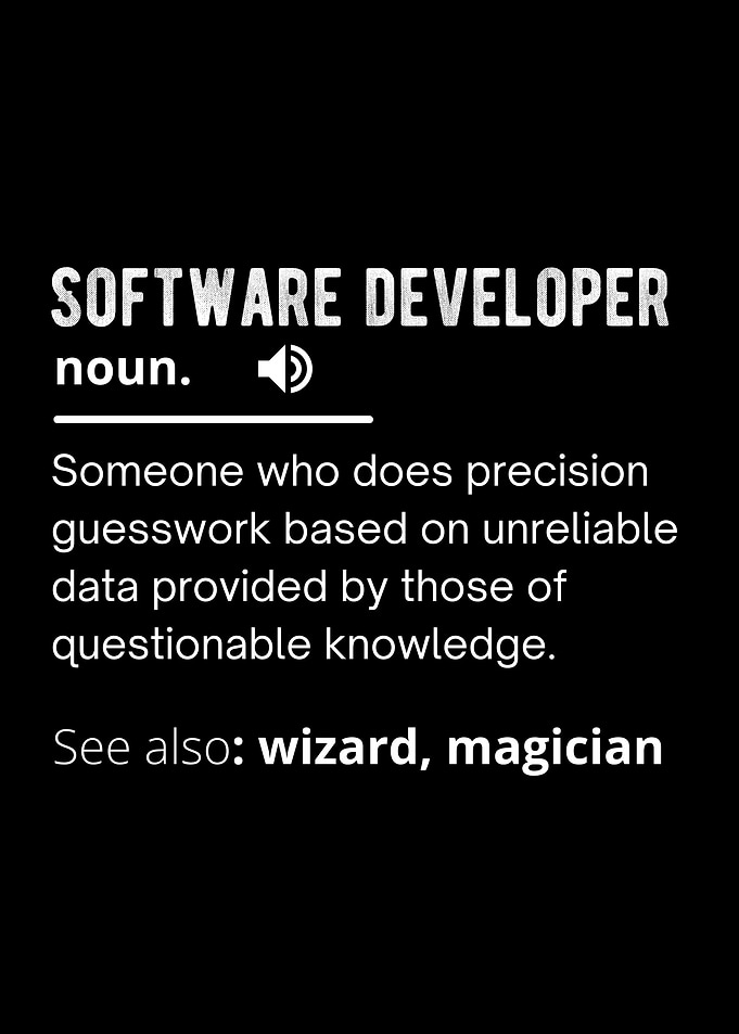 Software developer