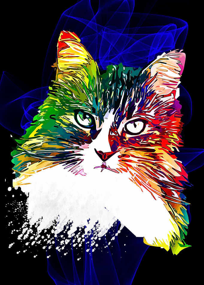 Cat Animals 18