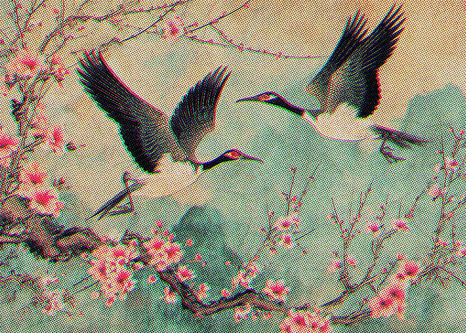 Japan Of Nature