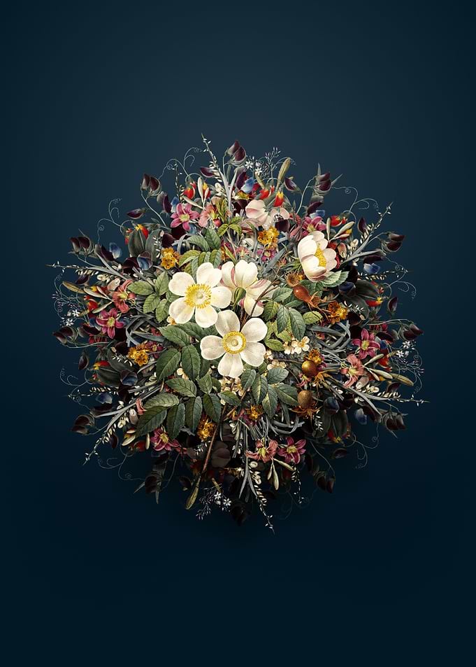 White Candolle Rose Wreath
