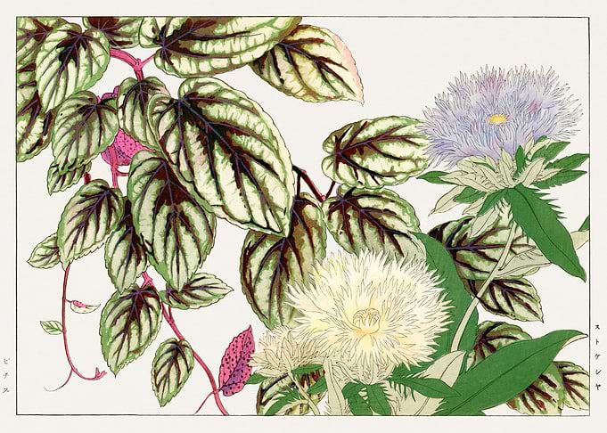 Aesthetic leaves