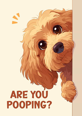 Cavapoo Are you pooping