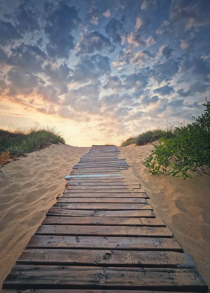 Wooden footpath
