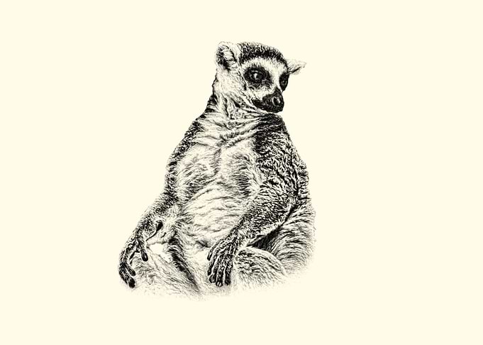 Lemur