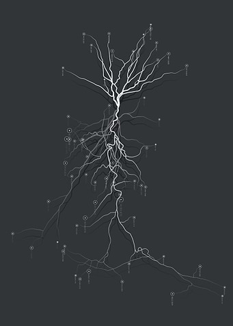 neuro link veins