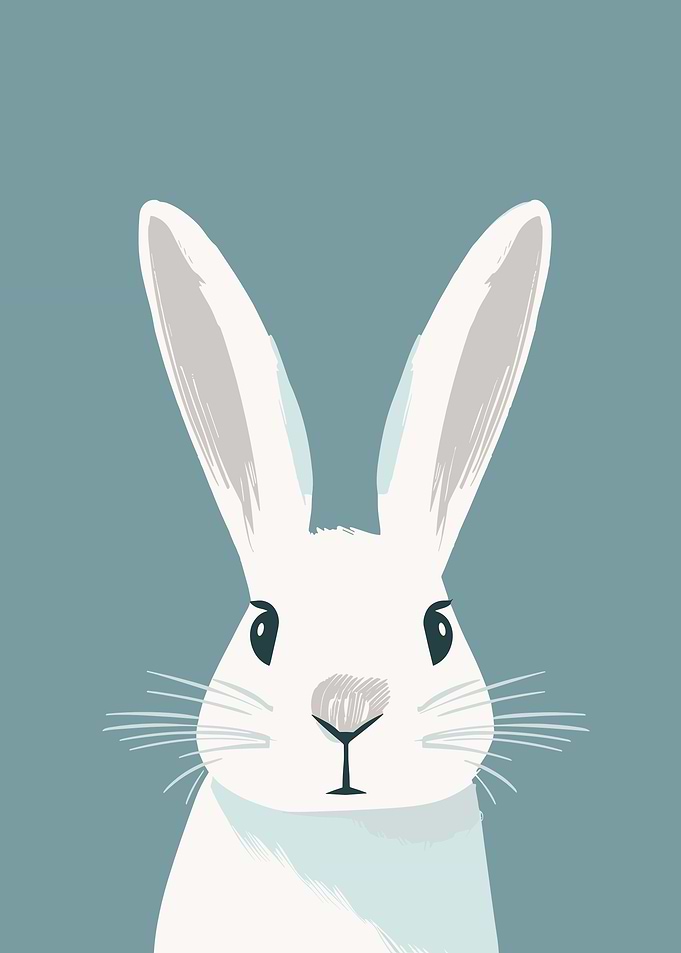 Rabbit Retro Minimal