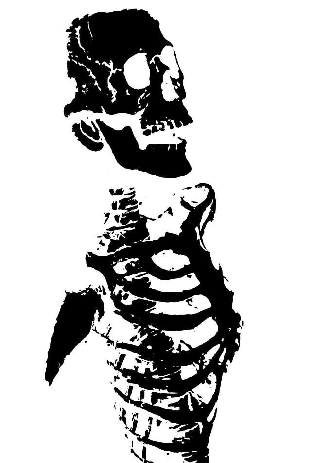Black white Skull