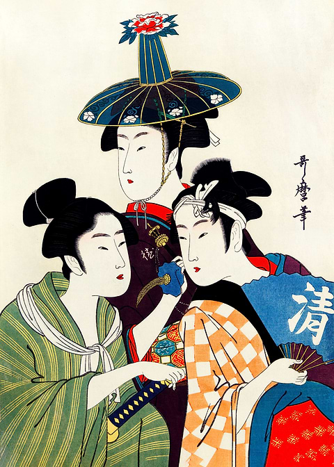 Elegant Ambiguity — Japanese art metal poster