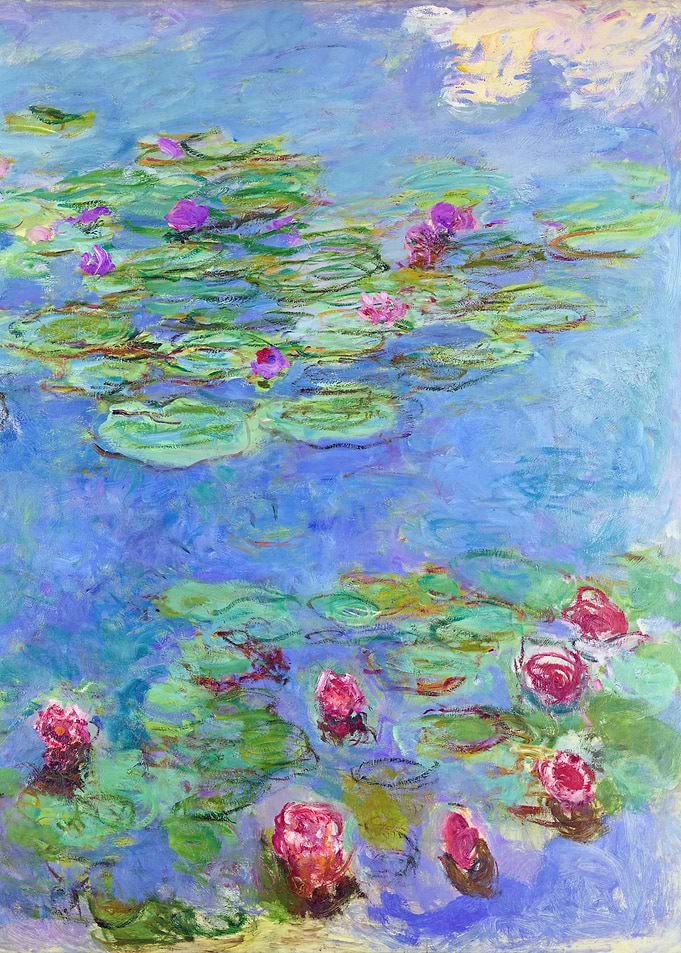 Water Lilies