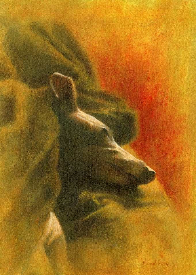 Slumbering Whippet