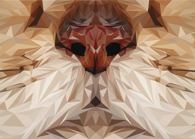 Geometric Cat Nose