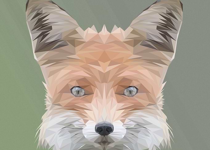 Geometric Fox