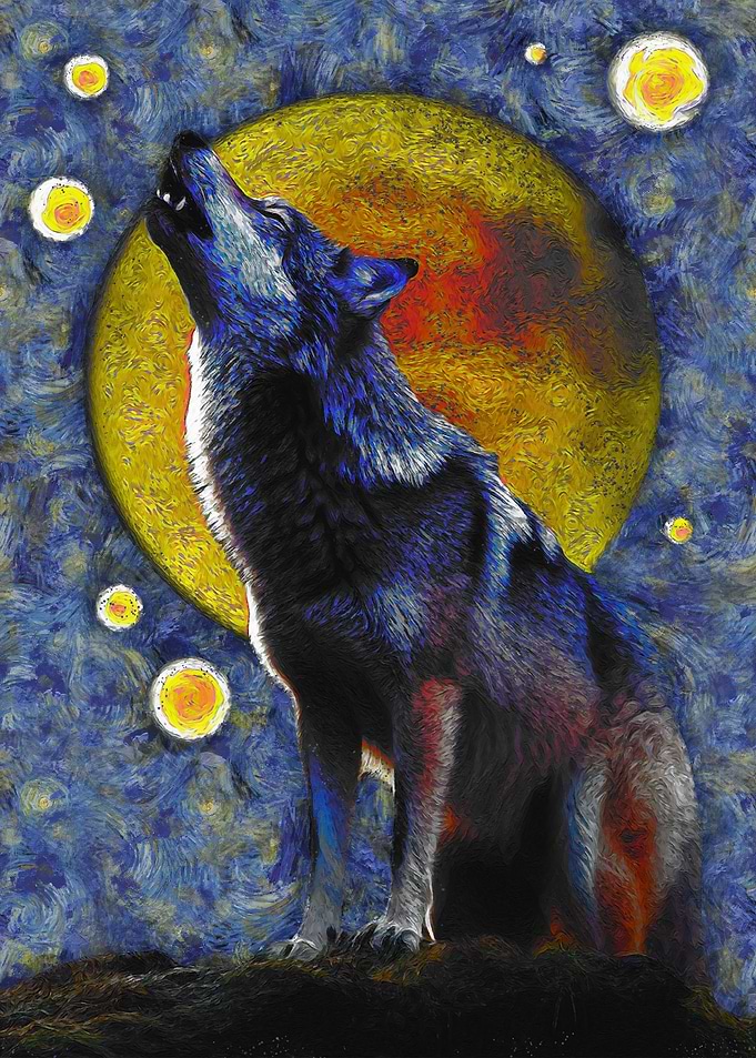 wolf in the night