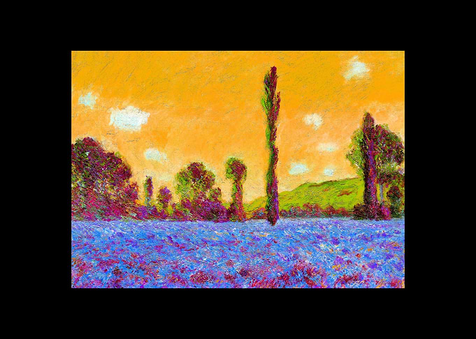 The Poppy Field