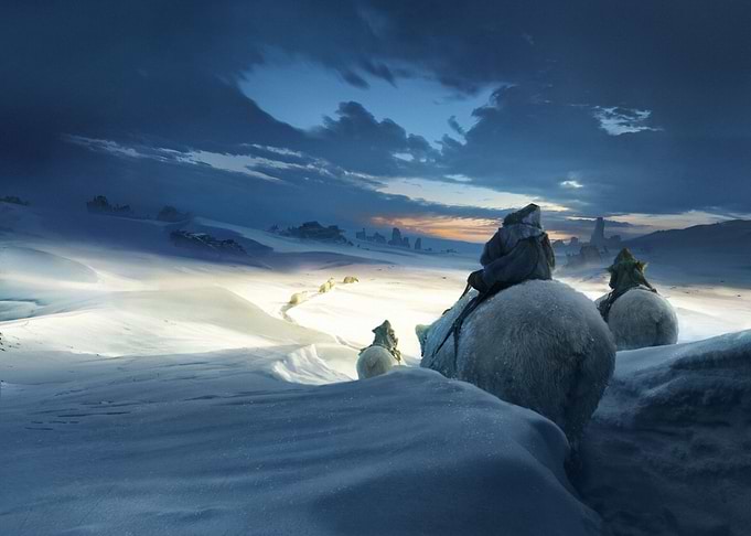 Remnant in the snow dunes