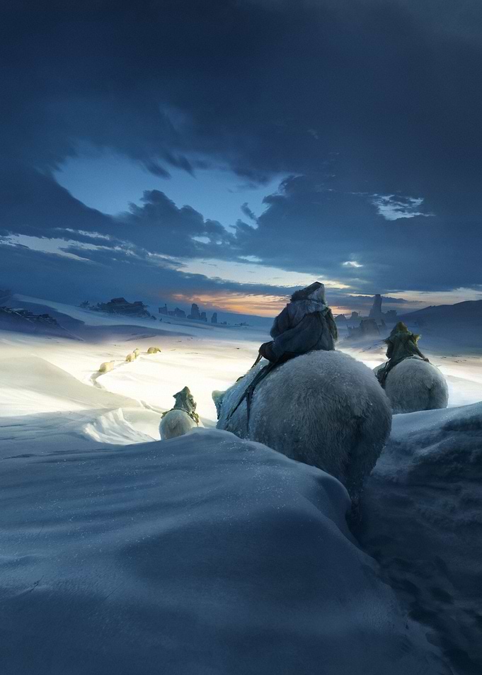 Remnant in the snow dunes