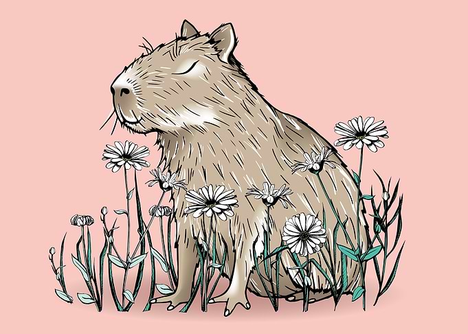 cute capybara
