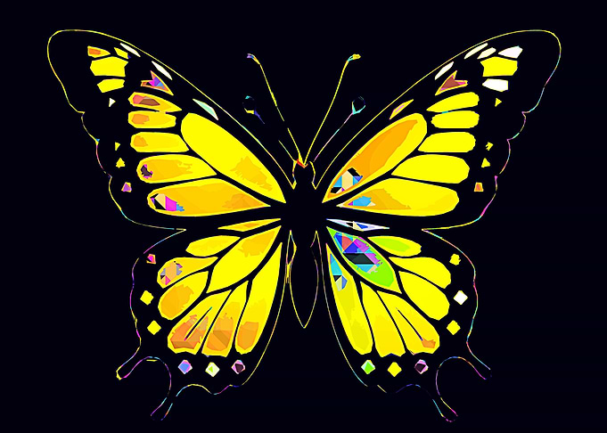 Butterfly pop art