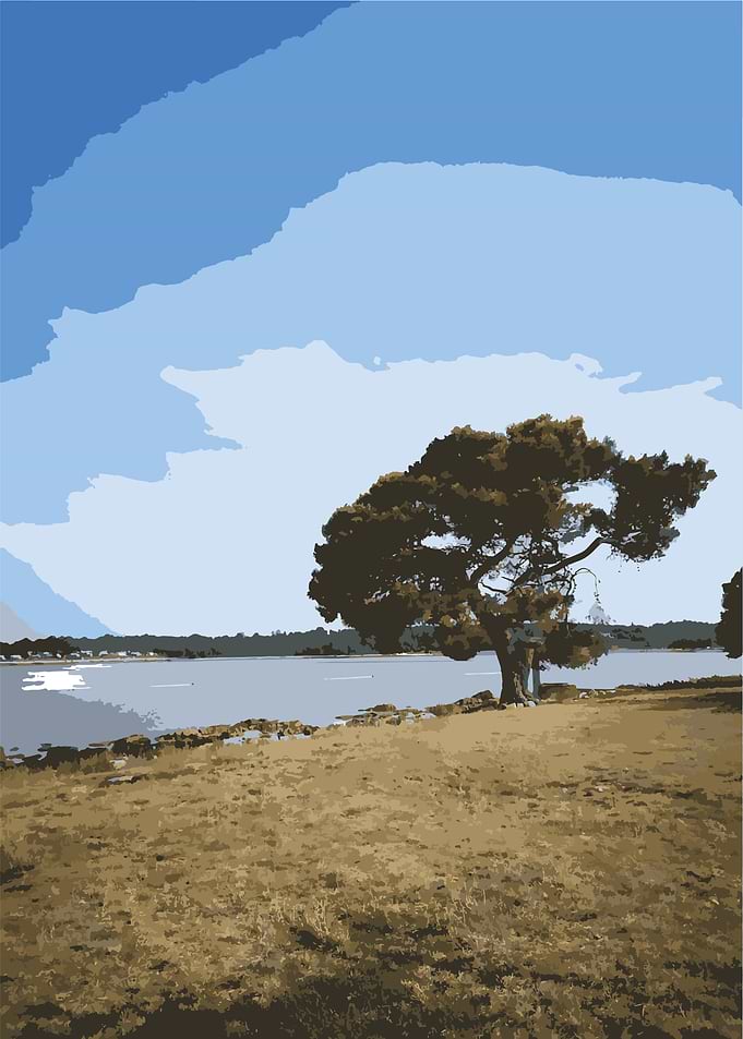 Sea and a tree