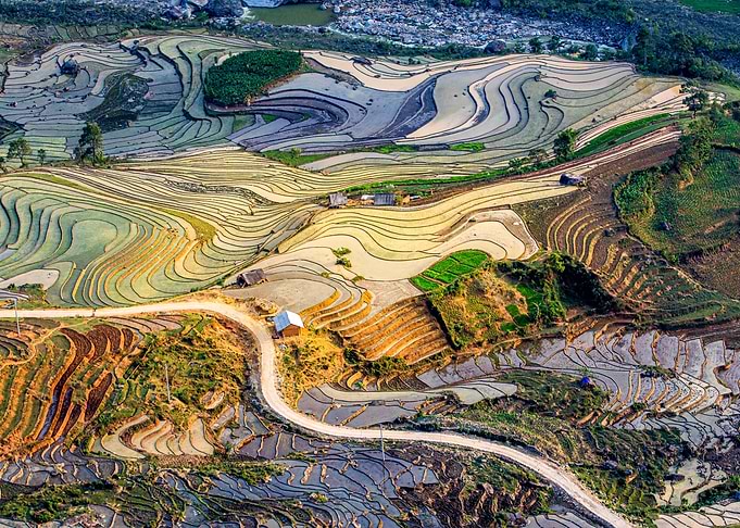 Beautiful rice terraces