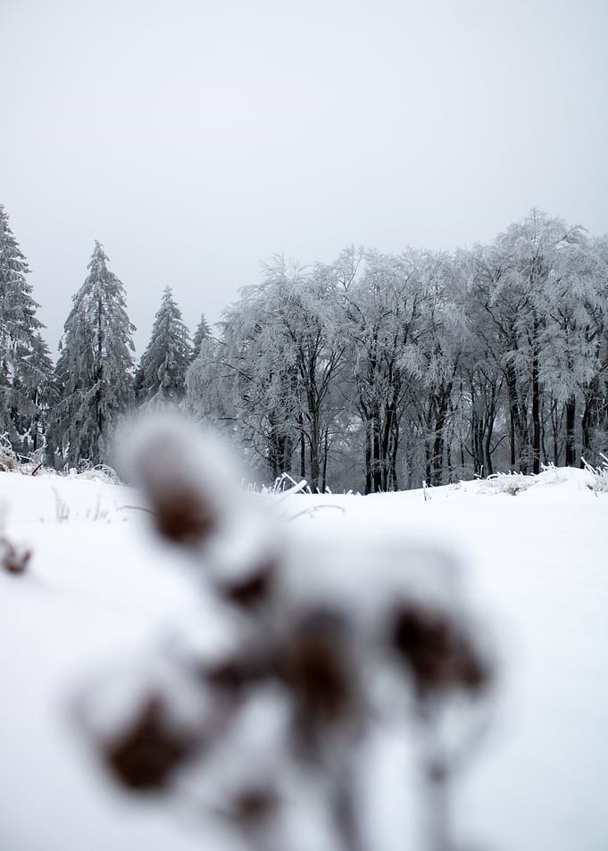Winters Quiet Hush