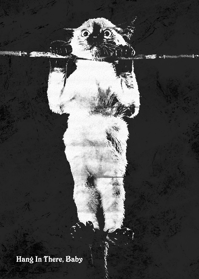Vintage Hang In There Cat