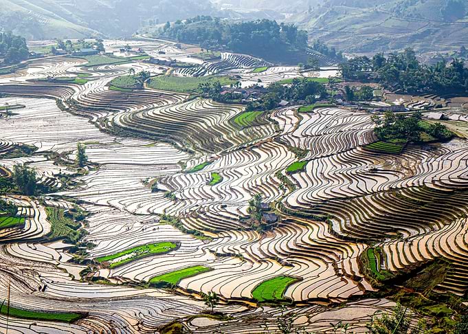 Overview watered terraces