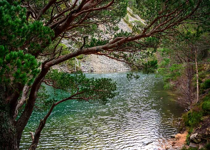 Green Lake