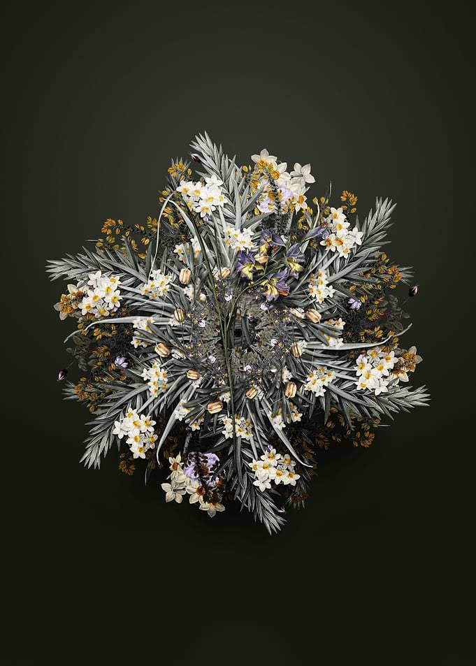 Gladiolus Ringens Wreath