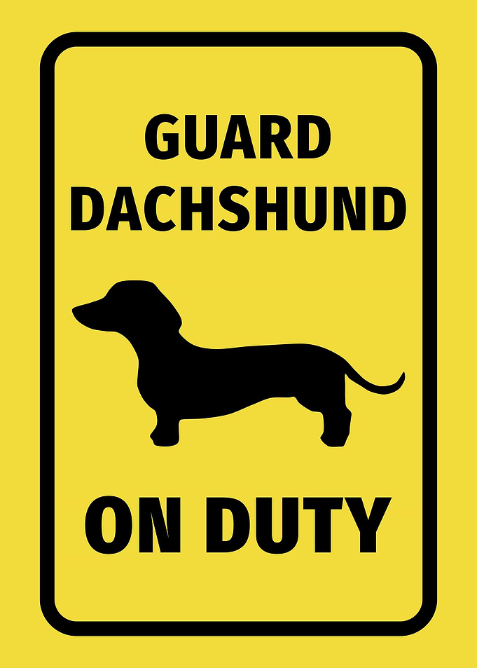 Dachshund Dog Warning 14