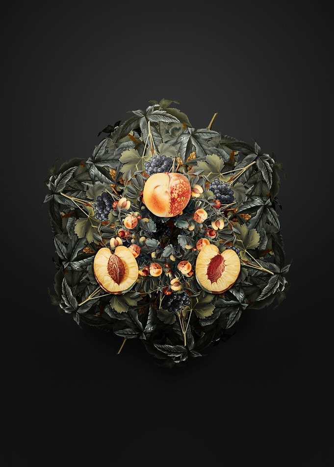 Nectarine Fruit Wreath