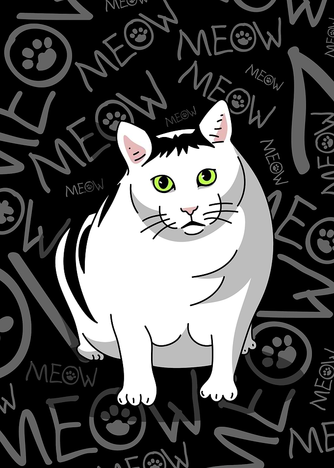 Cat Meme Viral