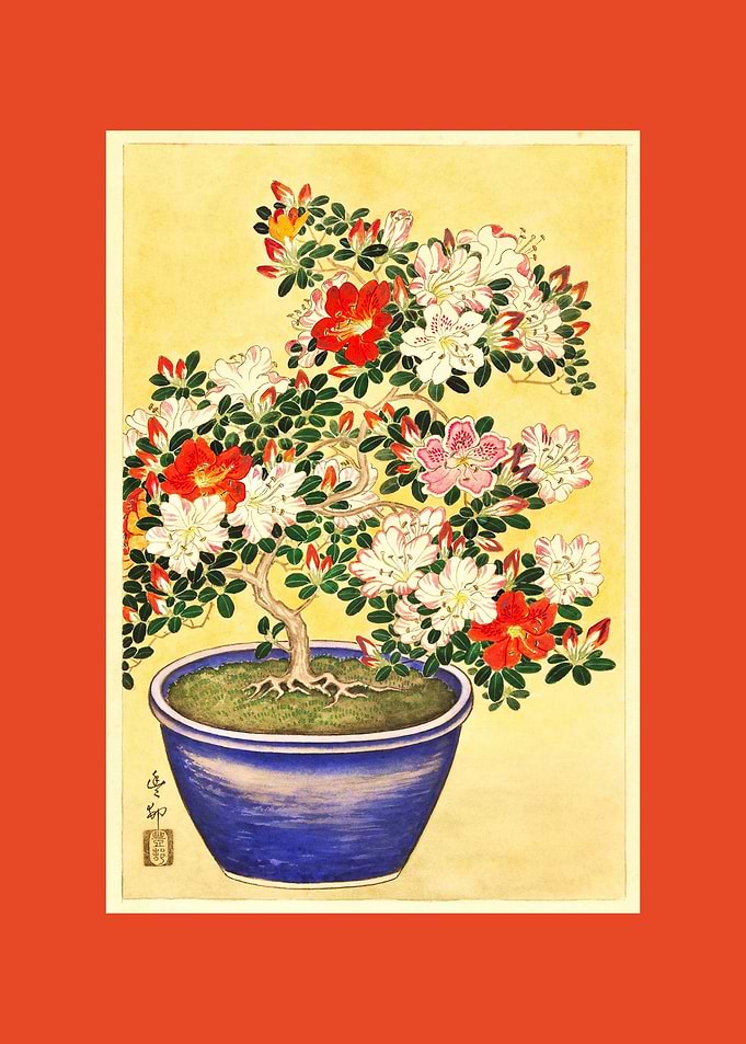 Blooming Azalea Blue Pot
