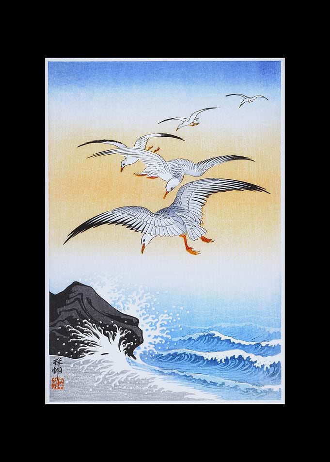 Five Seagulls