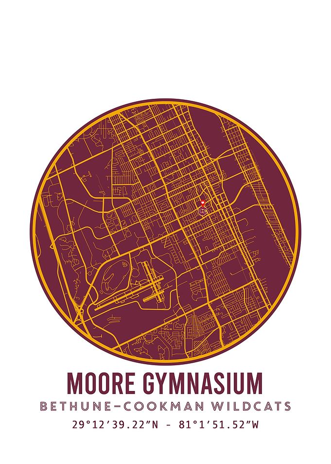 Bethune Cookman Wildcats