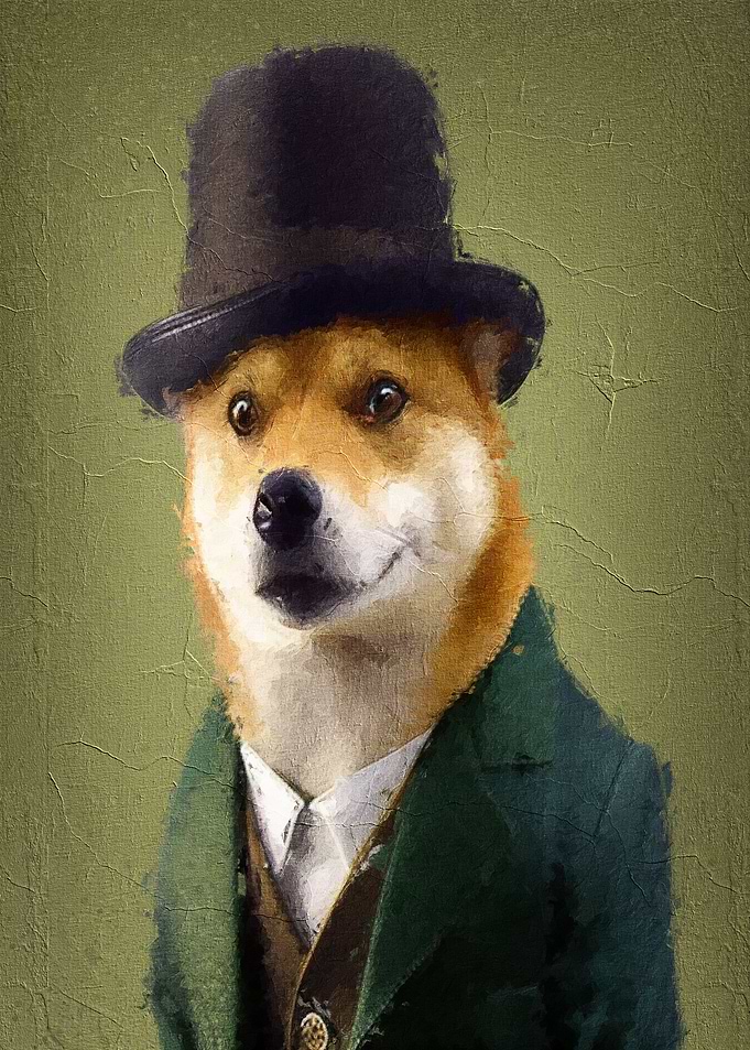 Doge Meme