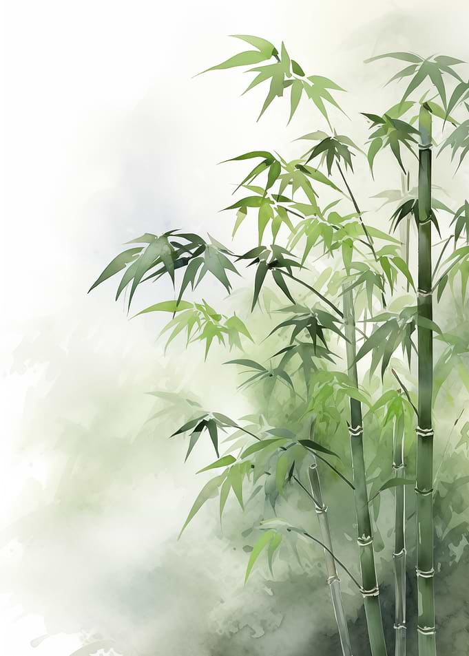 Japanese Bamboo Forest