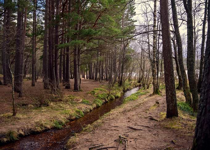 River Path