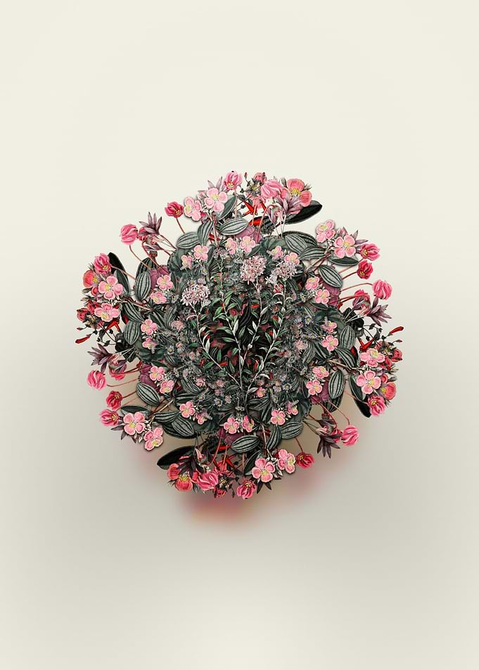 Dr Gills Selago Wreath